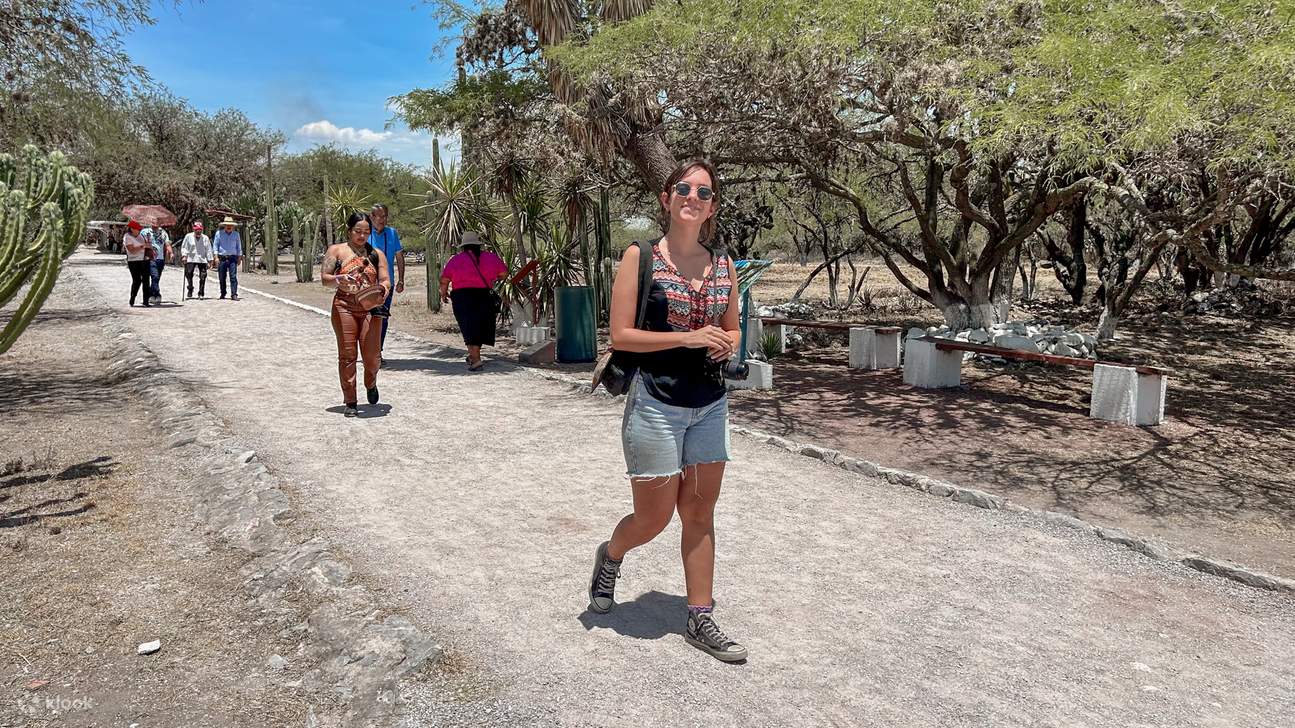 Boleto sin colas para Tula