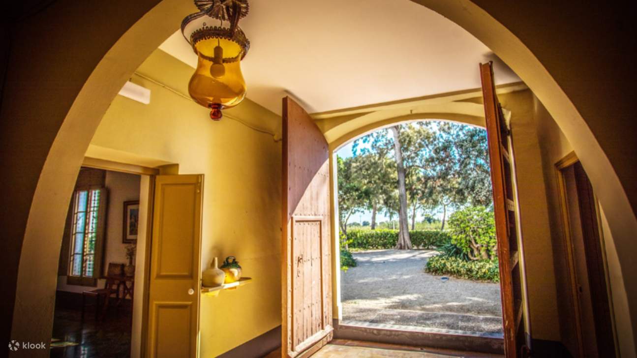 Vé Fundacio Mas Miro ở Mont-roig del Camp