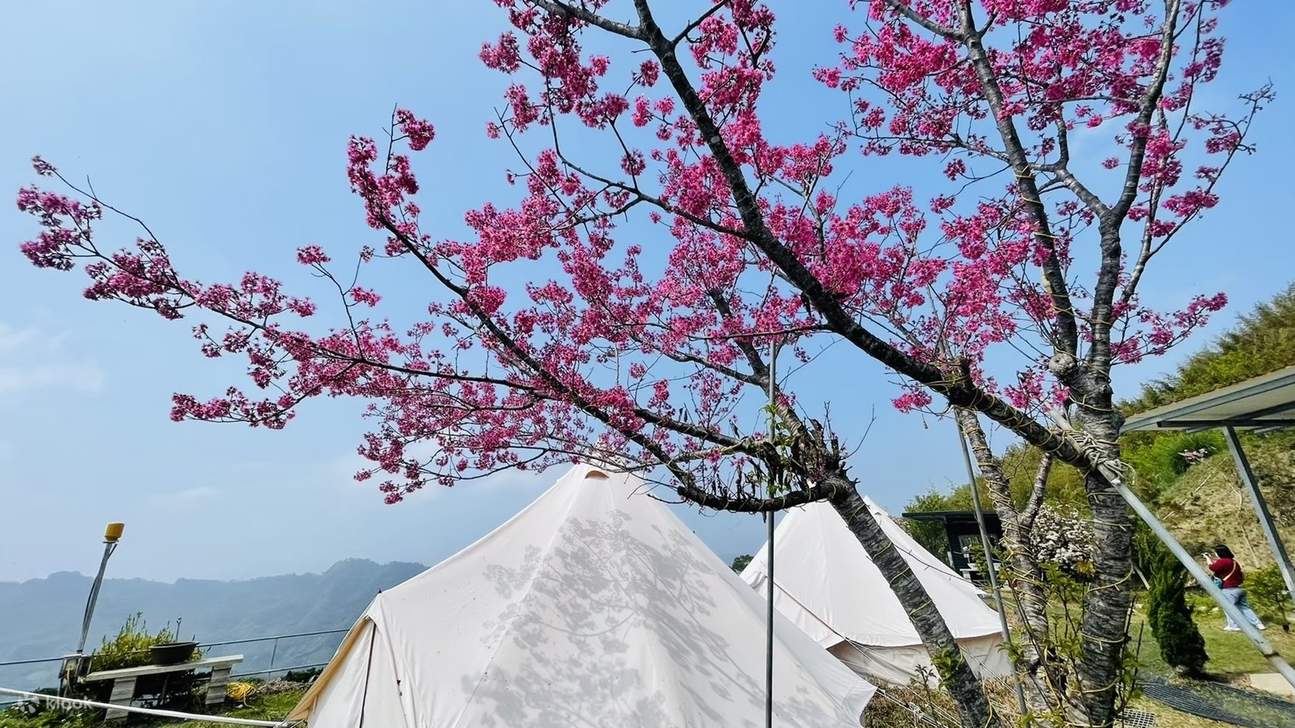Miaoli: Pengalaman Glamping Keluarga di Kamper Land