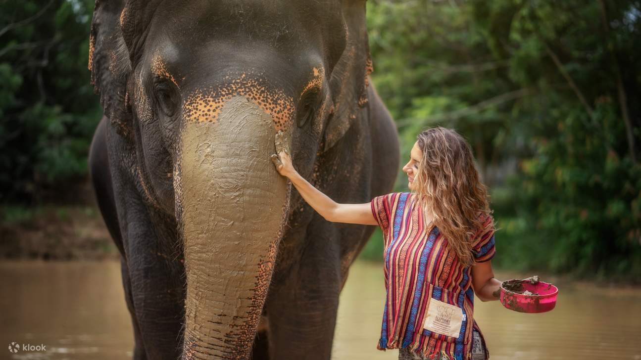 Playful Mud Bath Fun with Our Gentle Giants