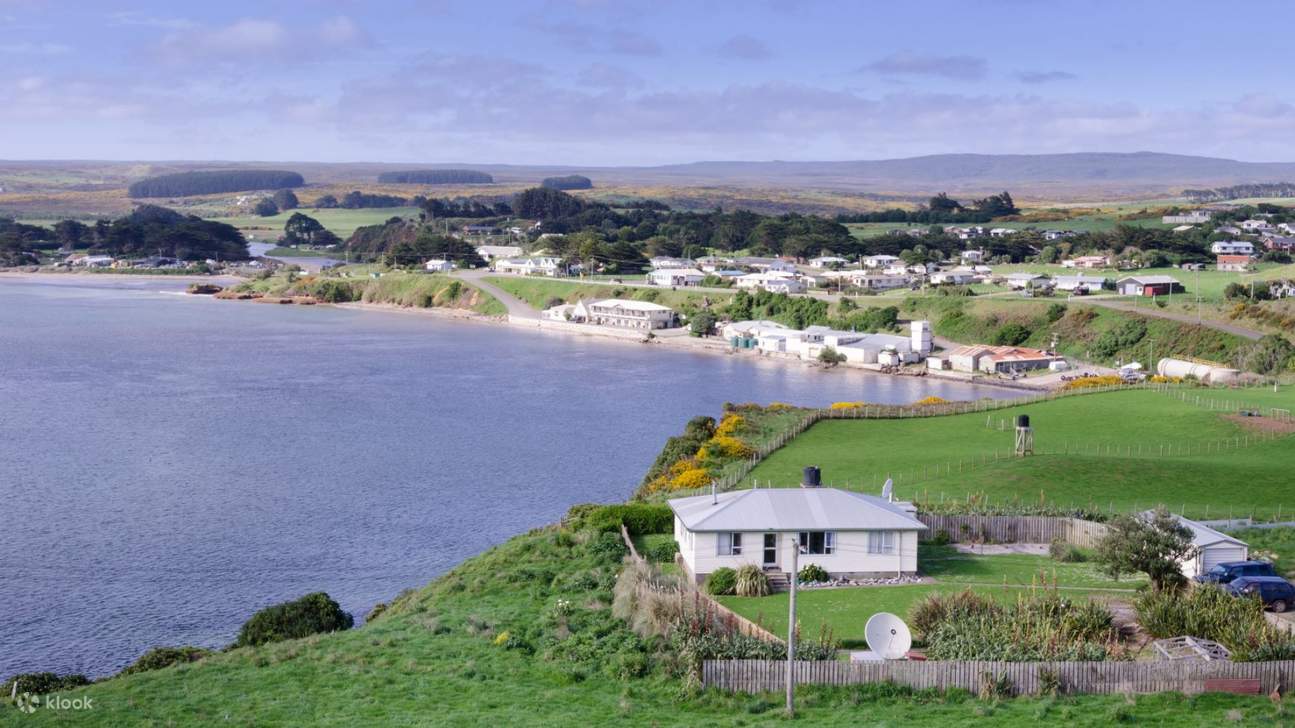 Day Tour in Chatham Islands 클룩 Klook 한국