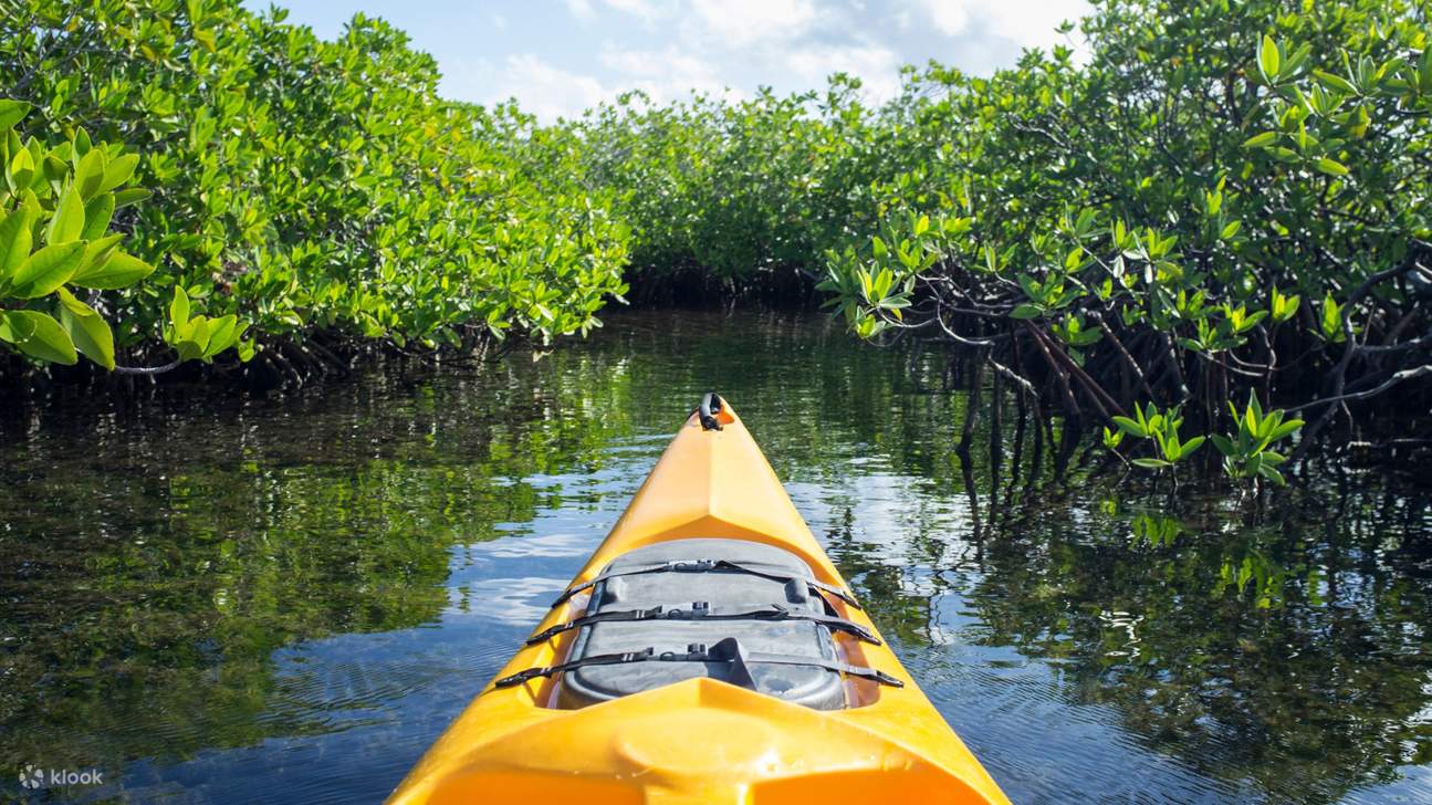 devant du kayak en bentota