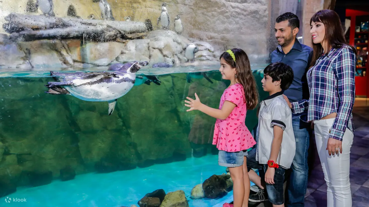 Capturing unforgettable moments with friends, immersed in the beauty of an aquatic realm