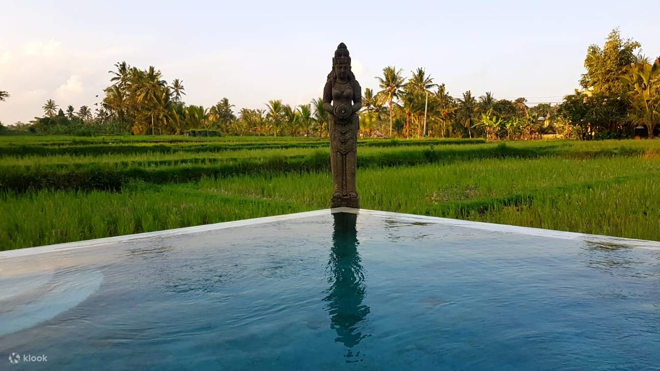 Yoga Retreat ở Firefly