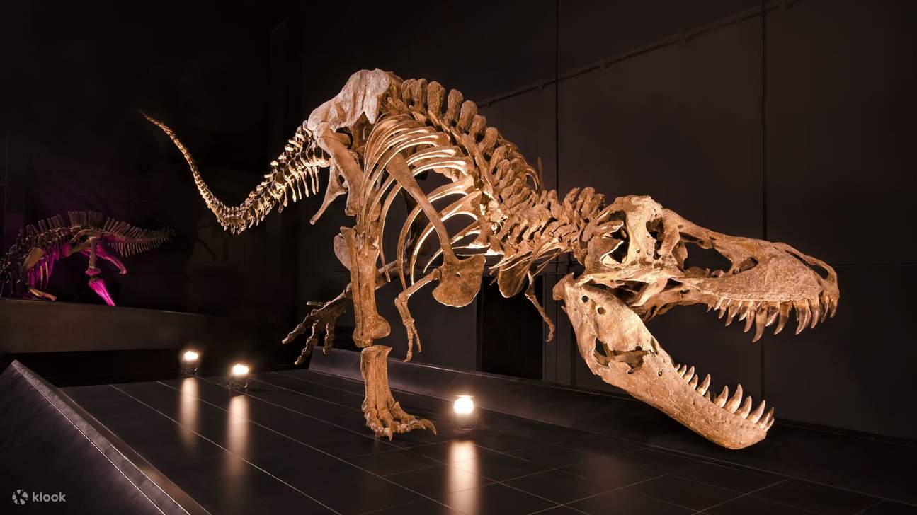 Tiket Dinopolis Teruel