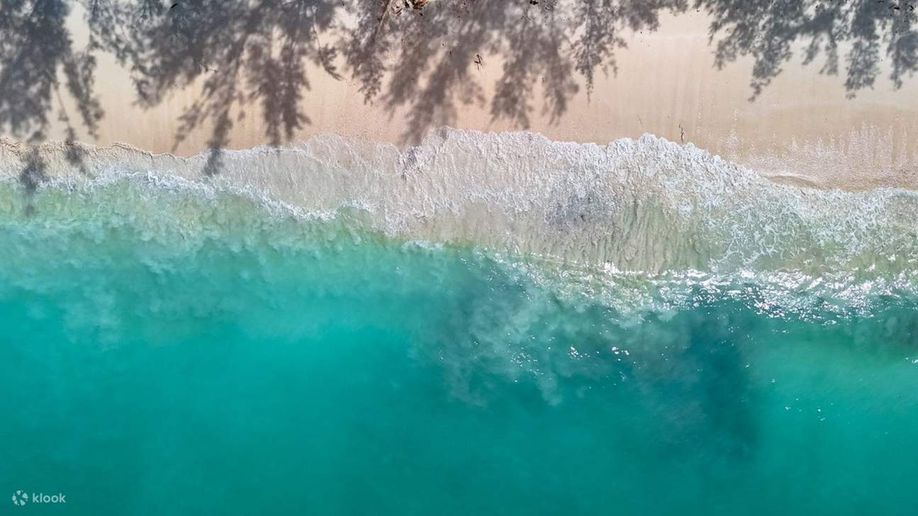 Excursión de un día de esnórquel en Sabah Magic Mengalum, Kota Kinabalu