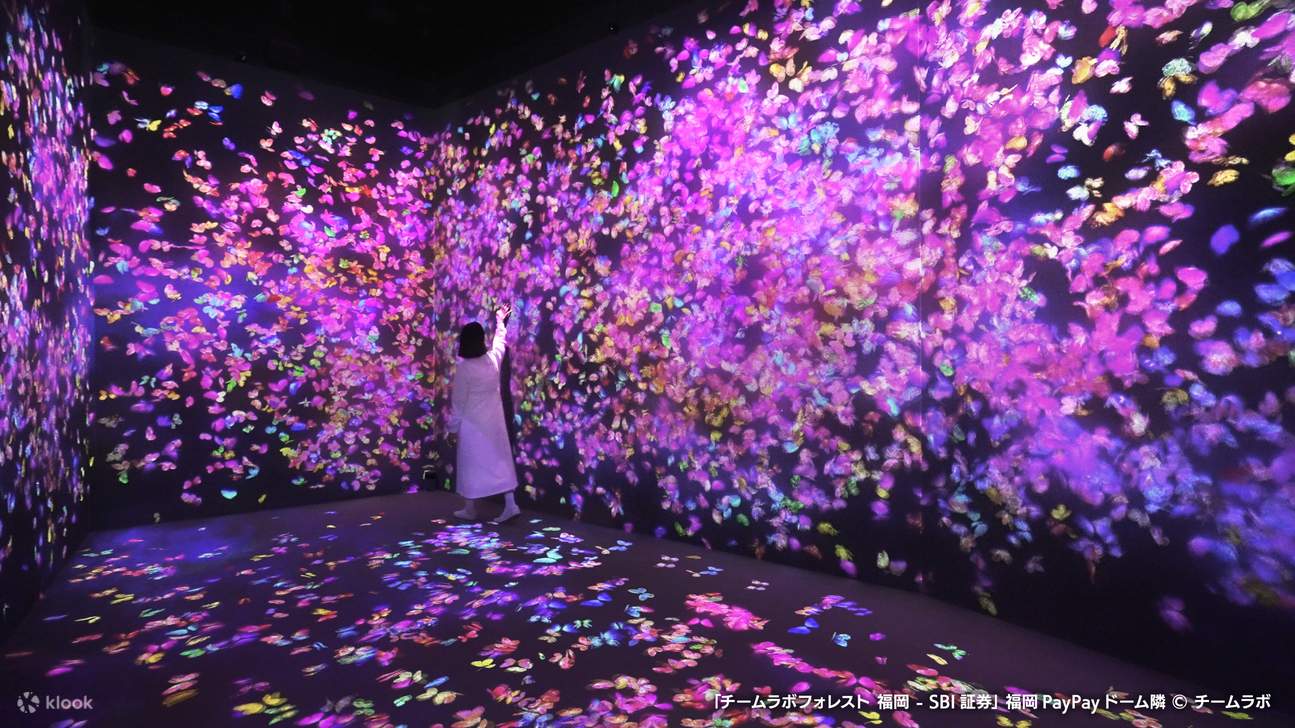 Билет в EZO FUKUOKA teamLab Forest