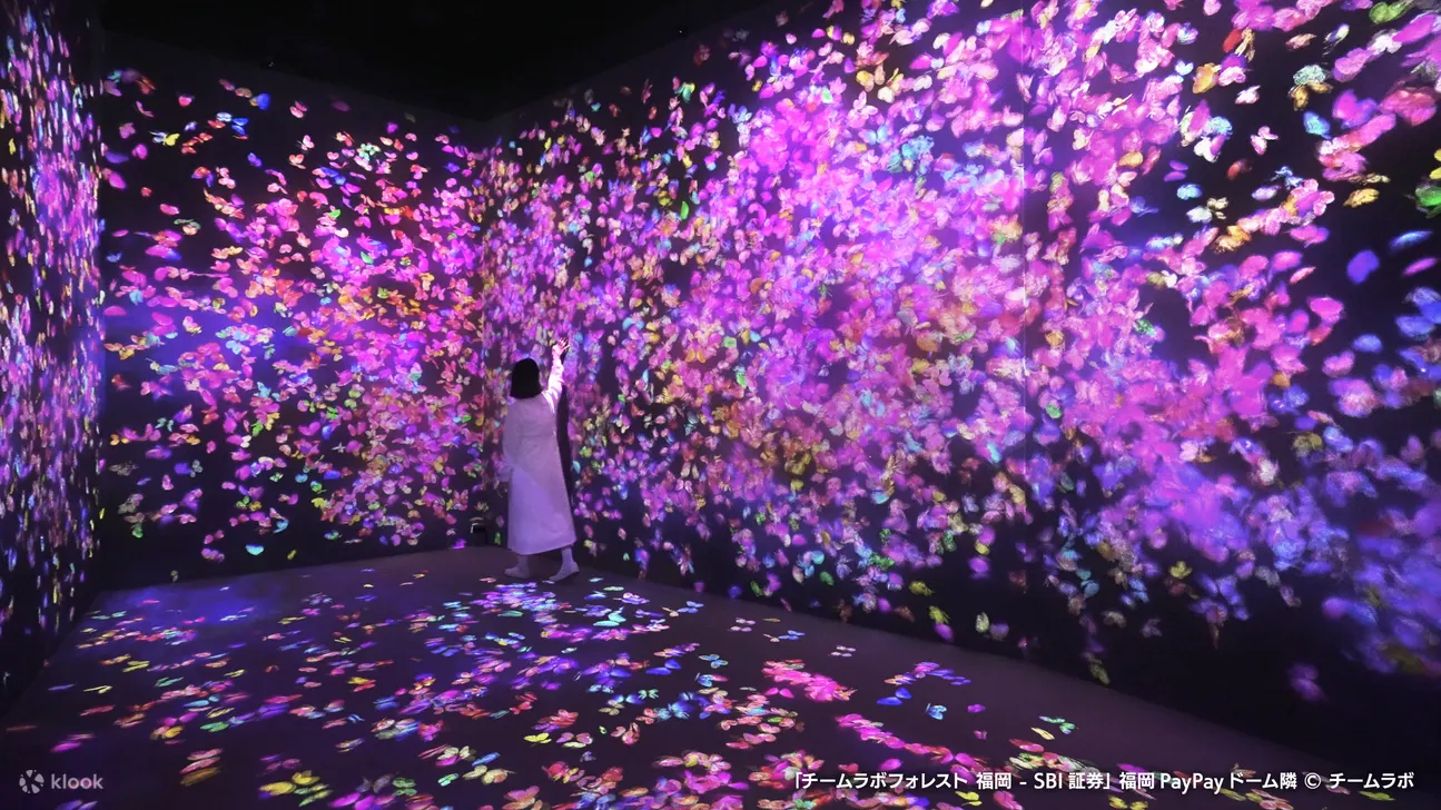 EZO FUKUOKA teamLab 森林门票
