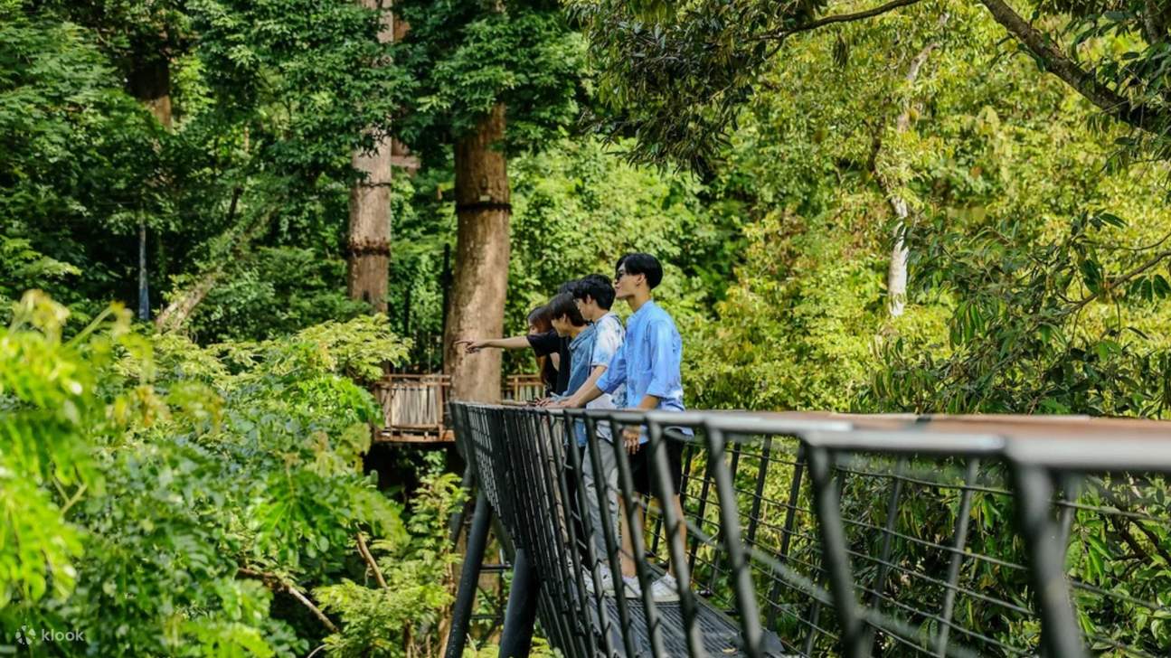 普吉岛Hanuman World丛林飞跃体验