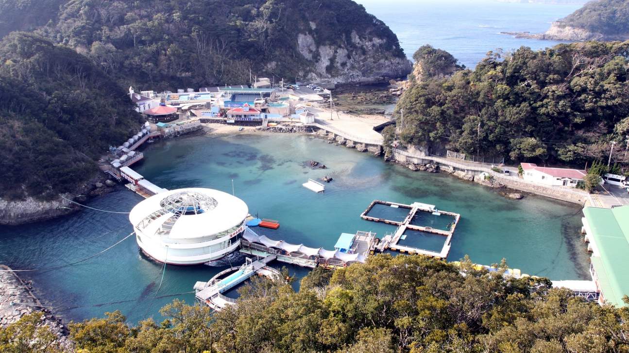 Thủy cung Shimoda ở Nhật Bản