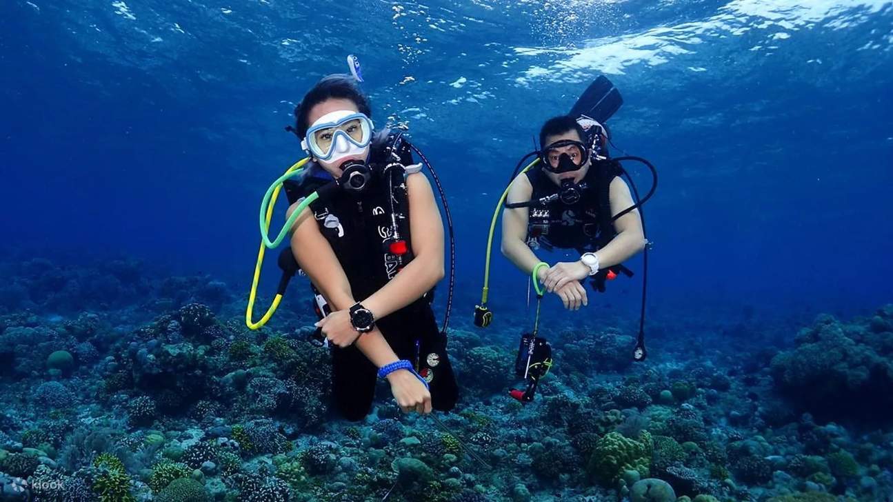 Lancez-vous dans votre aventure de plongée avec le cours Open Water Diver à Jakarta, où les aventures urbaines rencontrent l'exploration sous-marine