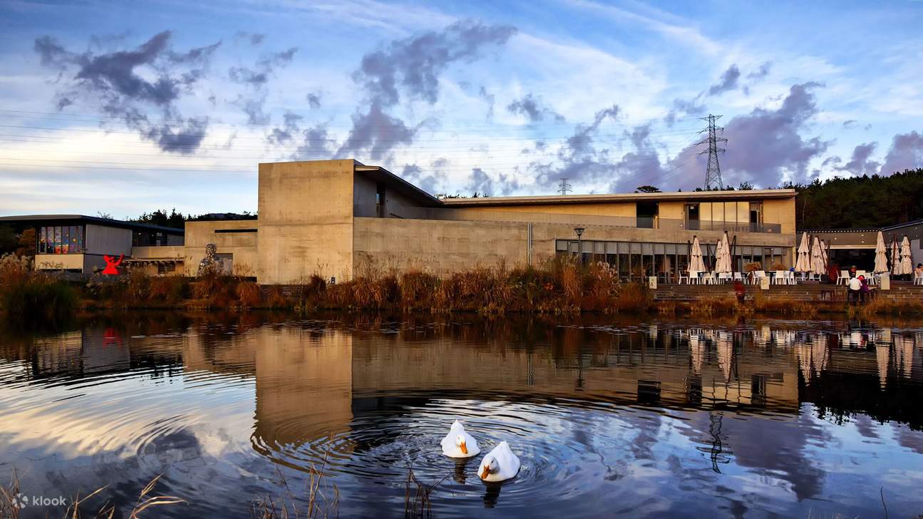 Билет в музей Бонте, Чеджу