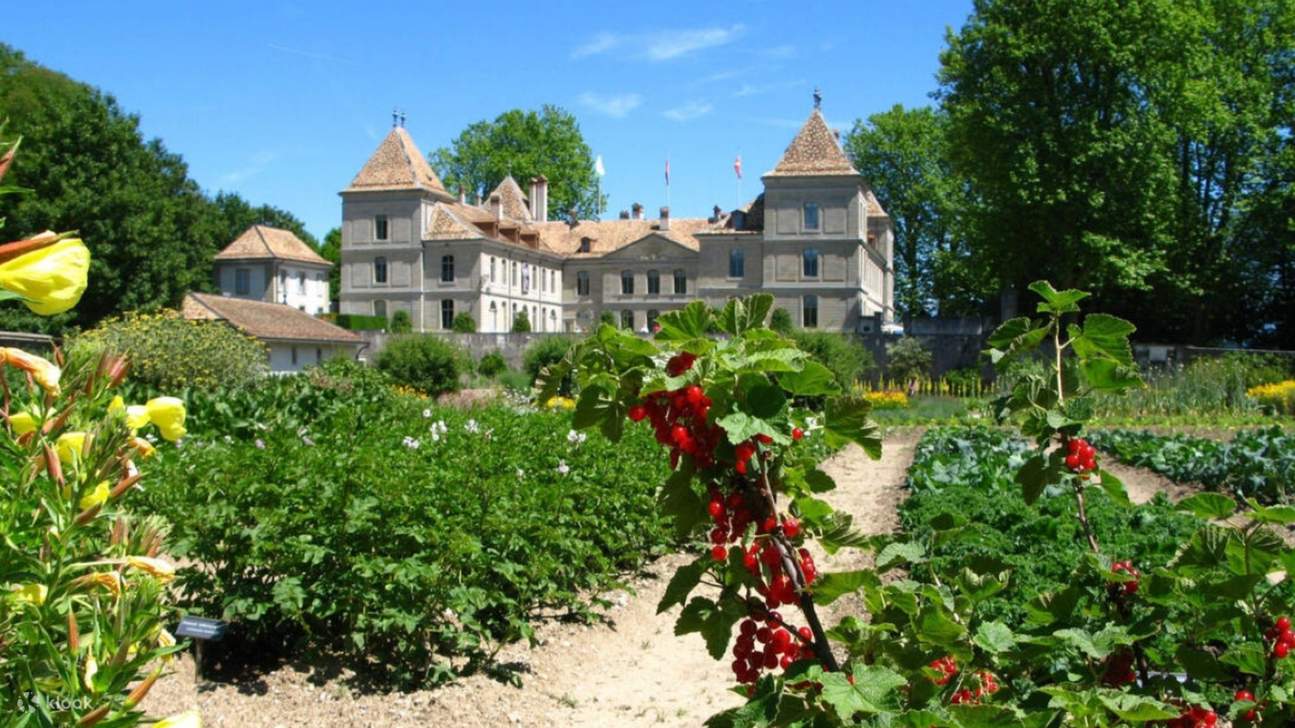 Vé Chateau de Prangins ở Thụy Sĩ
