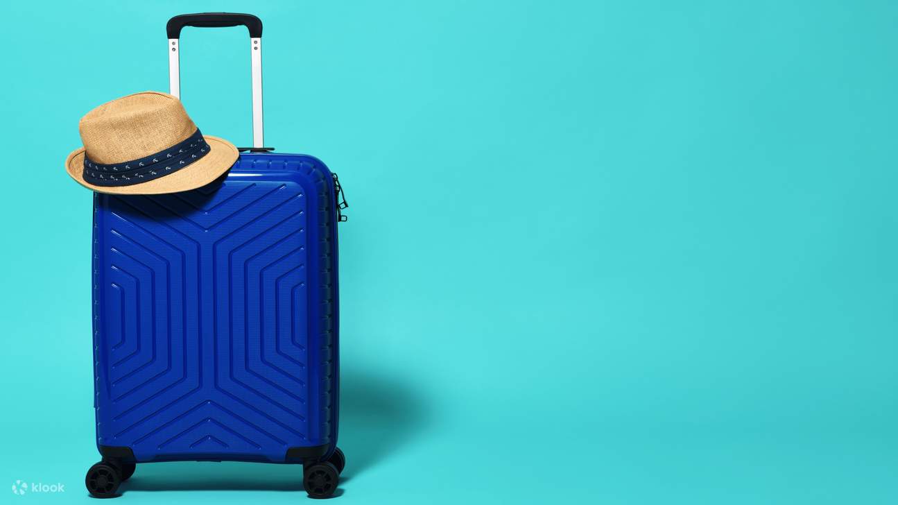 Dublín: Consigna de equipaje en Dublín O'Connell