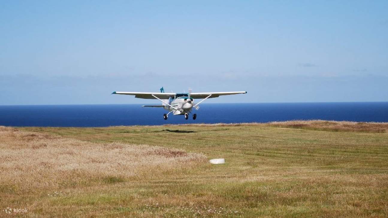 Day Tour in Chatham Islands 클룩 Klook 한국