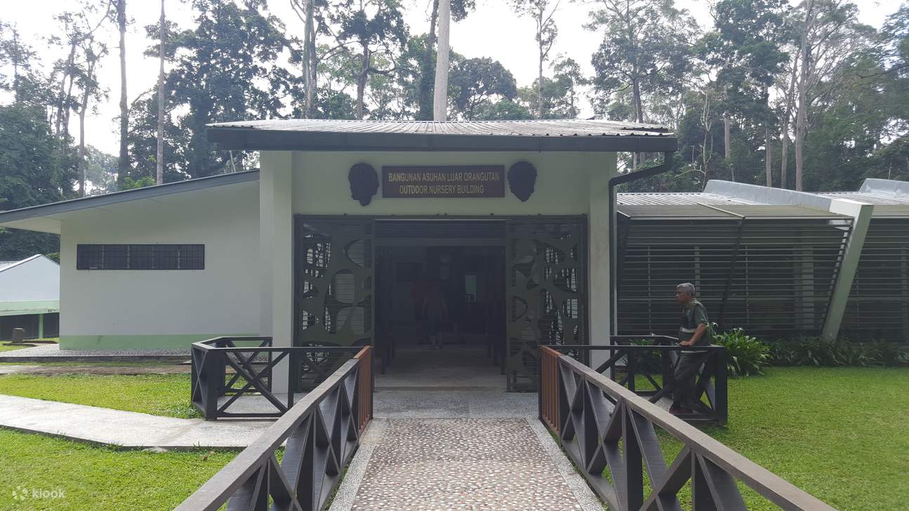 Orang Utan Sepilok , Bekantan, Beruang Madu, dan Rainforest Discovery