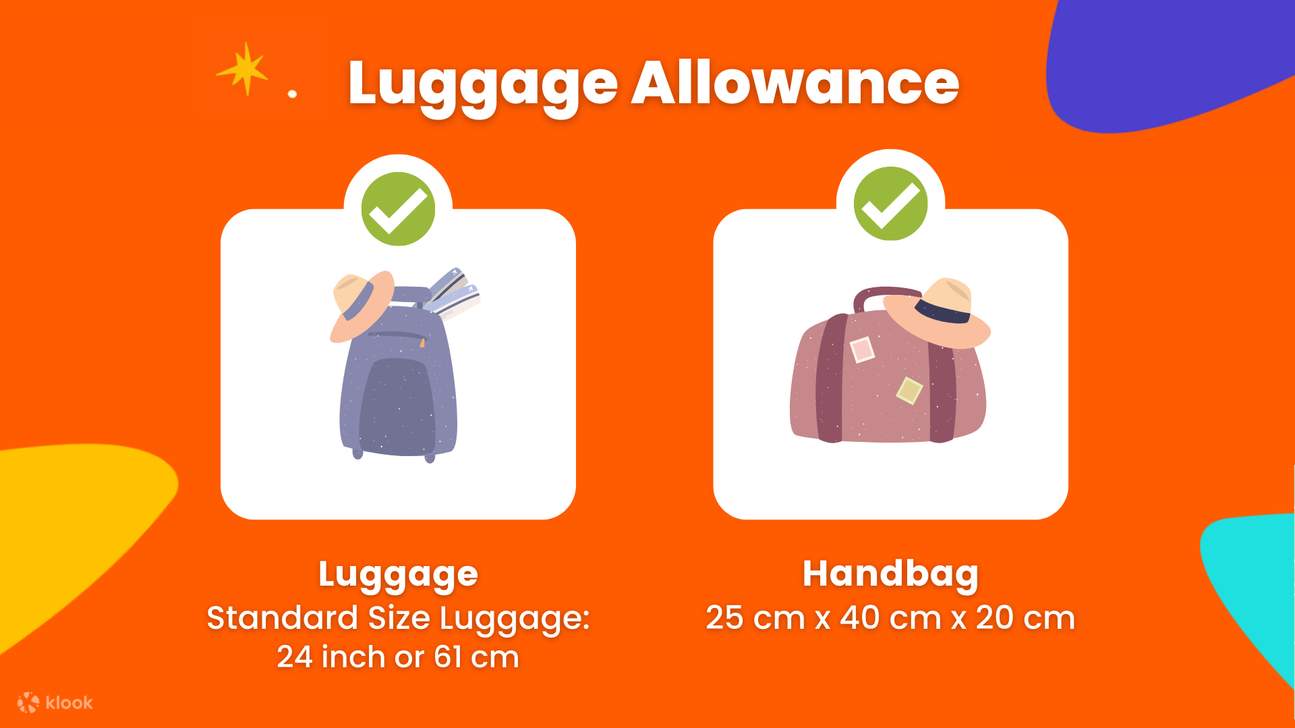 норма провоза багажа