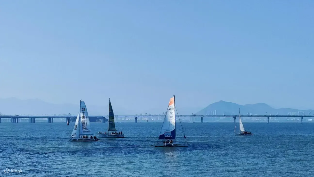 在帆船上，你可以和志同道合的伙伴谈天说地，分享彼此的故事。