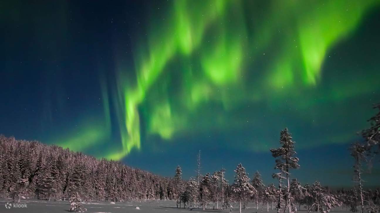 免费照片： 北极光与北极冷水和冰冻的湖畔插图, image size:1295x728