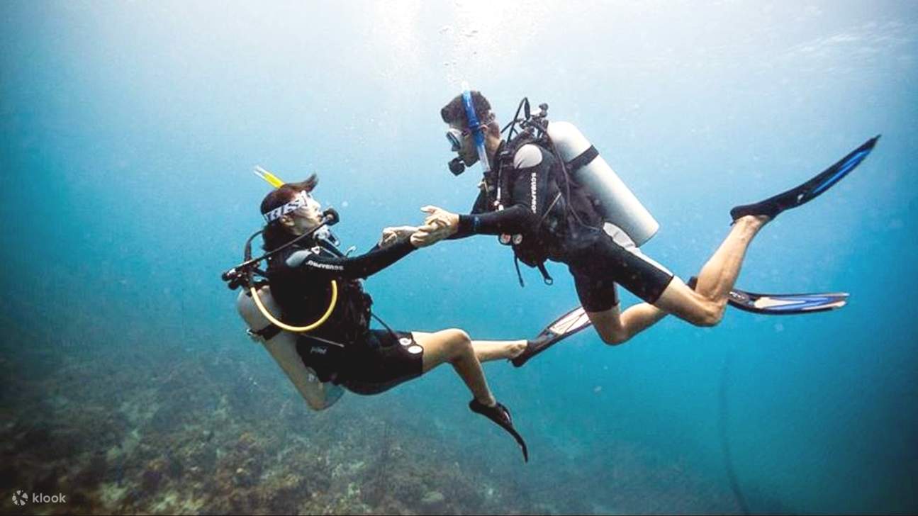 Sahl Hasheesh: Diving or Snorkeling Boat Trip dengan Makan Siang