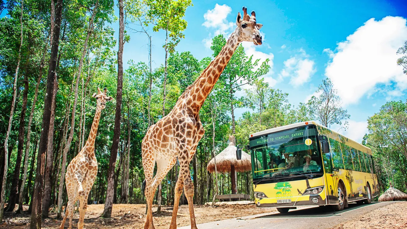 Vinpearl Safari Phu Quoc Ticket