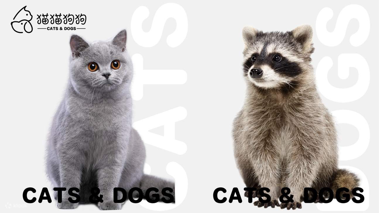 DX-PARK 2.0·地心公園