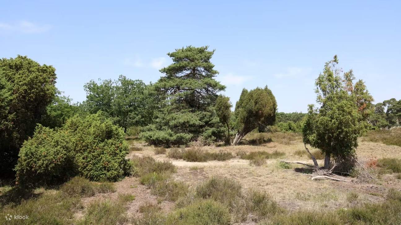 Tiket Taman Nasional De Hoge Veluwe di Otterlo