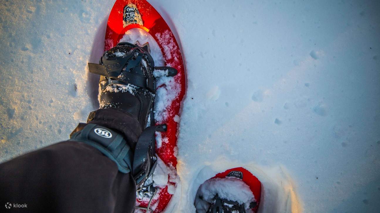 在雪鞋健行中捕捉北極的魔力，欣賞令人歎為觀止的景色