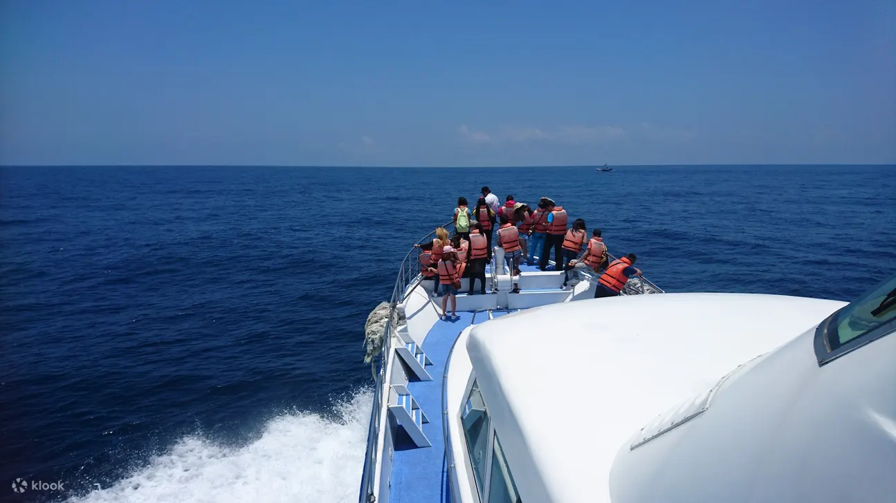 whale watching yilan