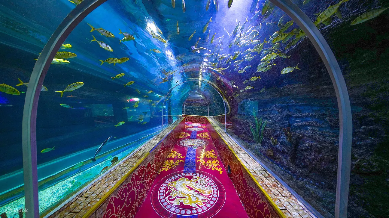 深圳观澜海洋世界门票