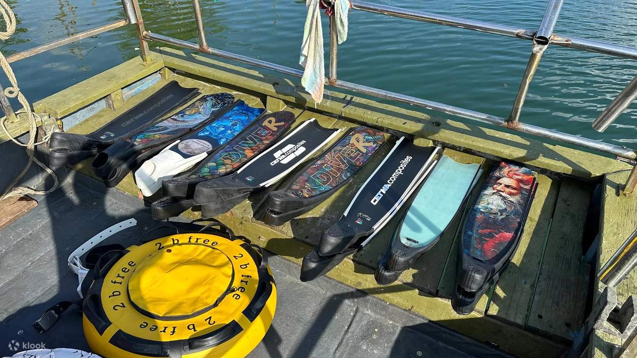 我们为客户提供一流的自由潜水装备——碳纤维和玻璃纤维脚蹼，将创新与舒适融为一体，带来极致体验。