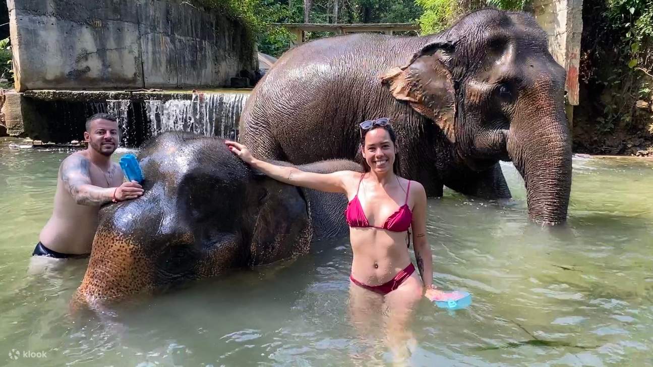Тур на полдня в Krabi Elephant Care House