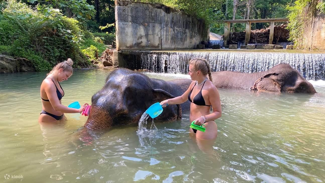 Lawatan Separuh Hari ke Krabi Elephant Care House & Berenang di Air Terjun Huay To