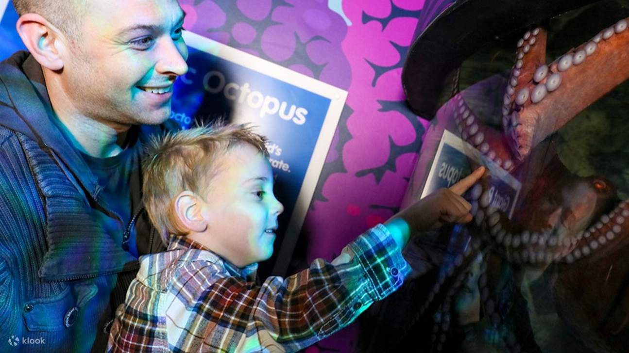 Découvrez les incroyables adaptations et comportements de divers animaux marins