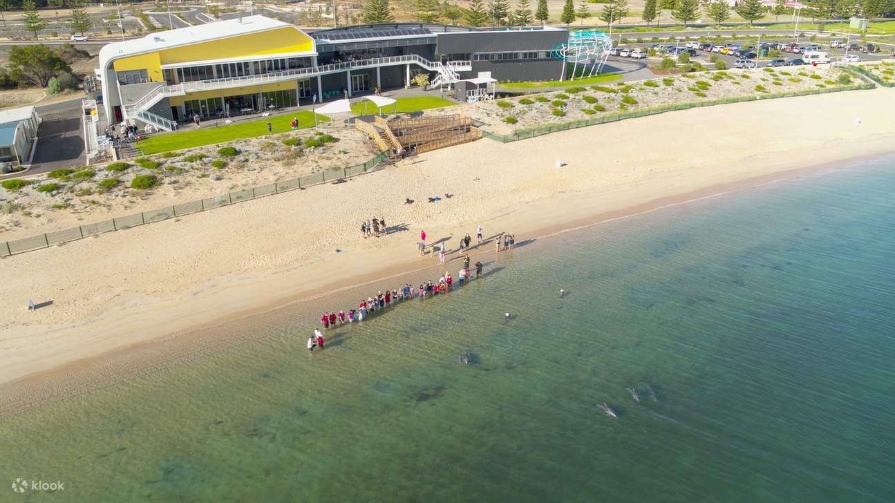 Билет в Dolphin Discovery Centre в Банбери