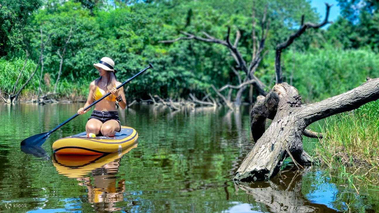 Chèo ván đứng trên sông