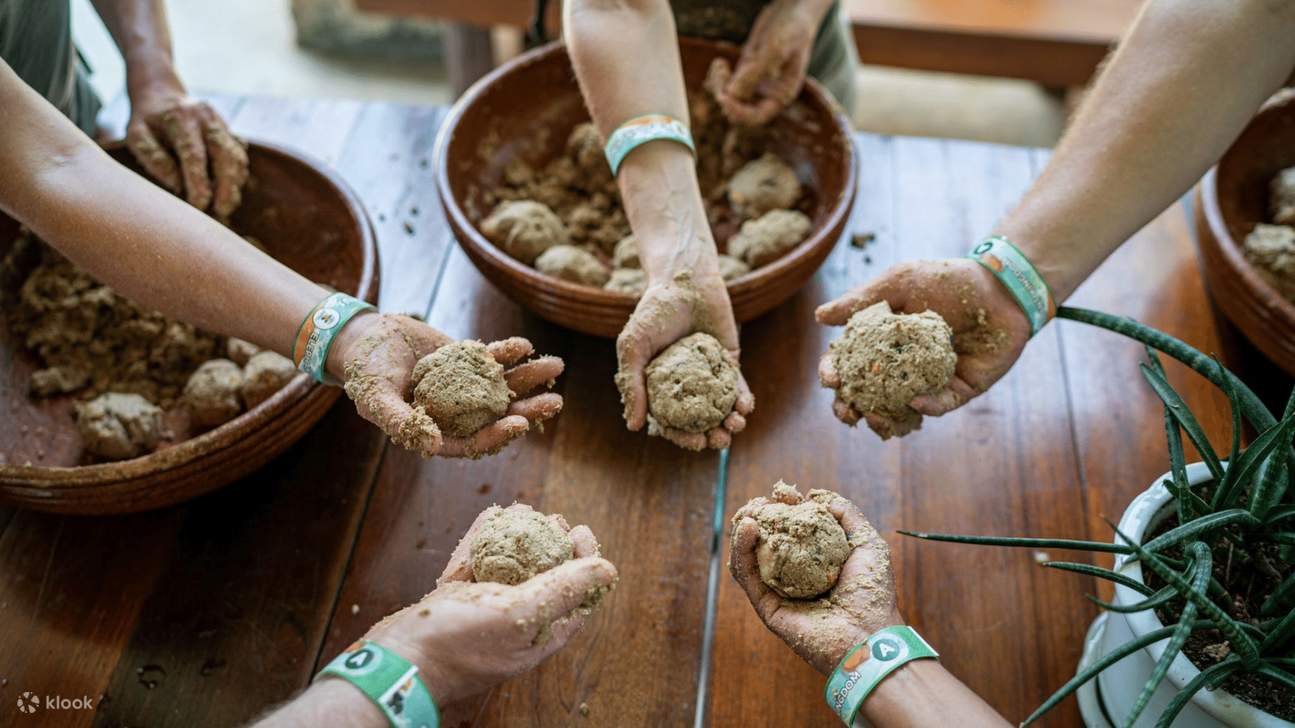 Power Ball foods for elephants