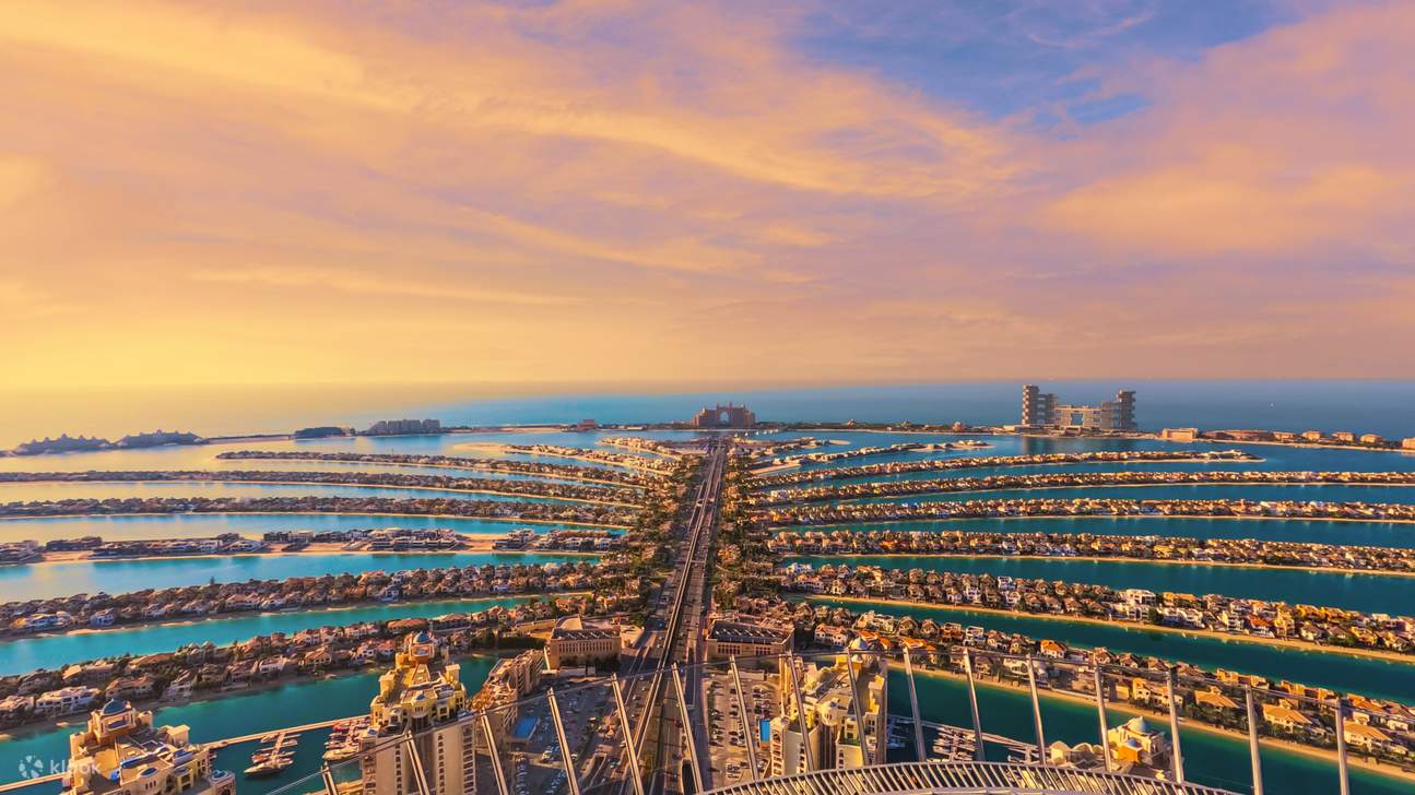 새로운 시각과 경이로움으로 대칭과 디자인을 감상해보세요.