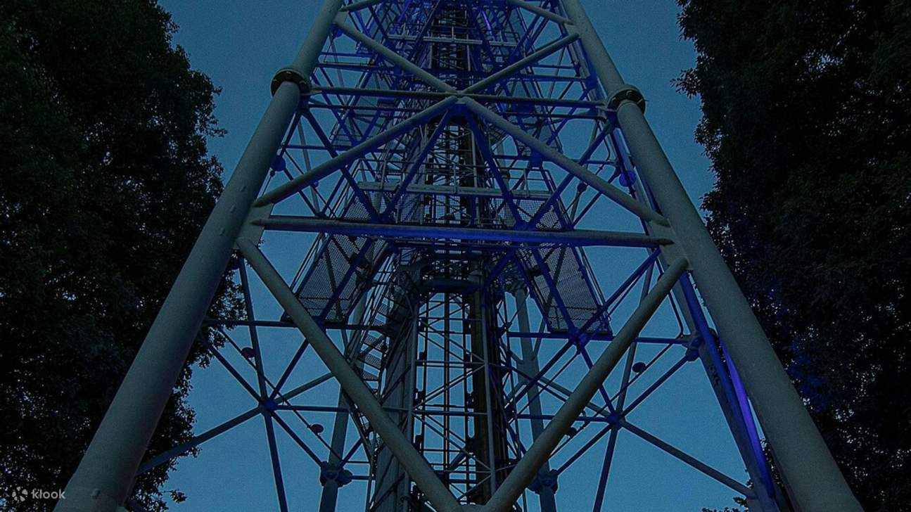 登上高达108公尺的布兰卡塔 (Torre Branca) 观景台，饱览令人屏息的城市美景