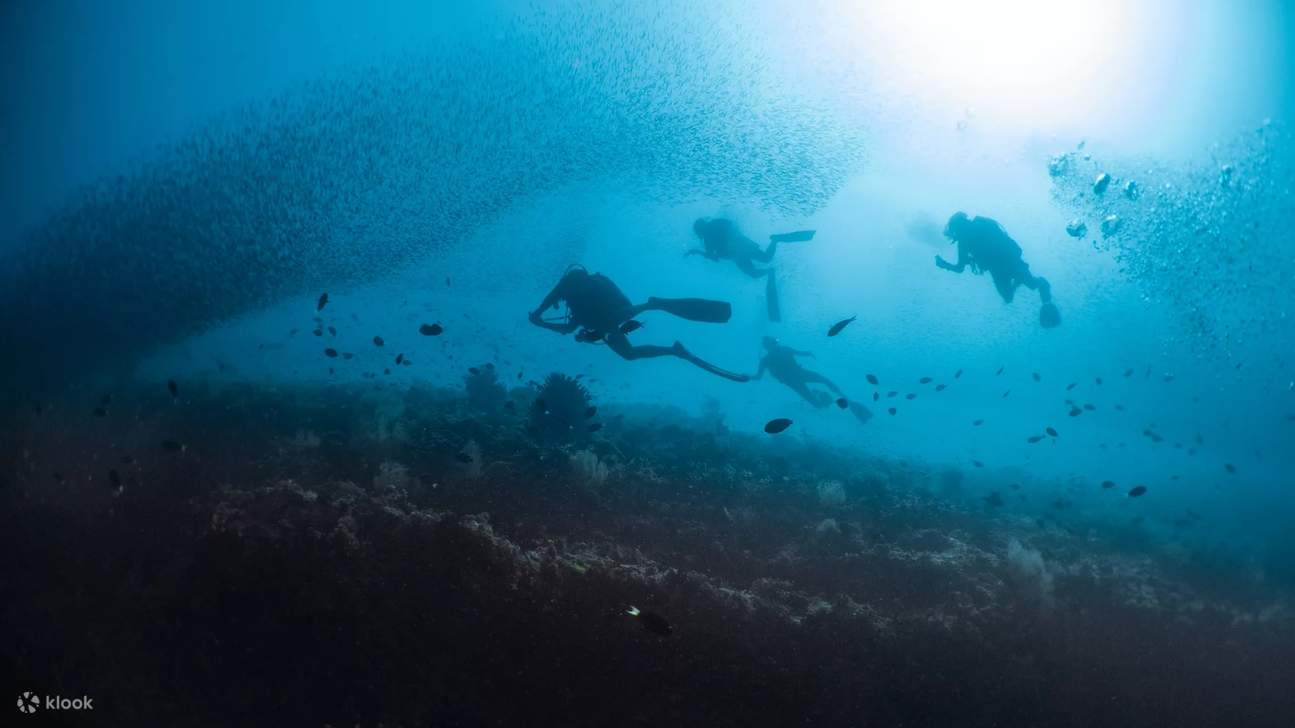 Unleash your potential: Advanced Diver Course graduates in Baa Atoll embrace new horizons, equipped with the knowledge and abilities to explore deeper and more diverse dive sites