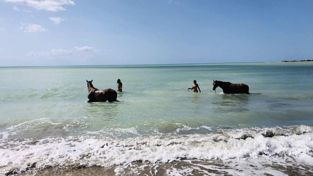 Wading into crystal clear waves with your horse by your side is pure magic