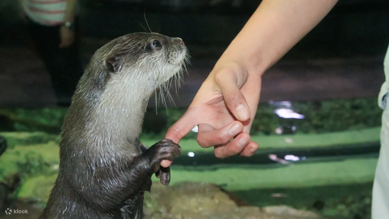 Reaching out to touch the wonders of the deep, an engaging and interactive marine experience