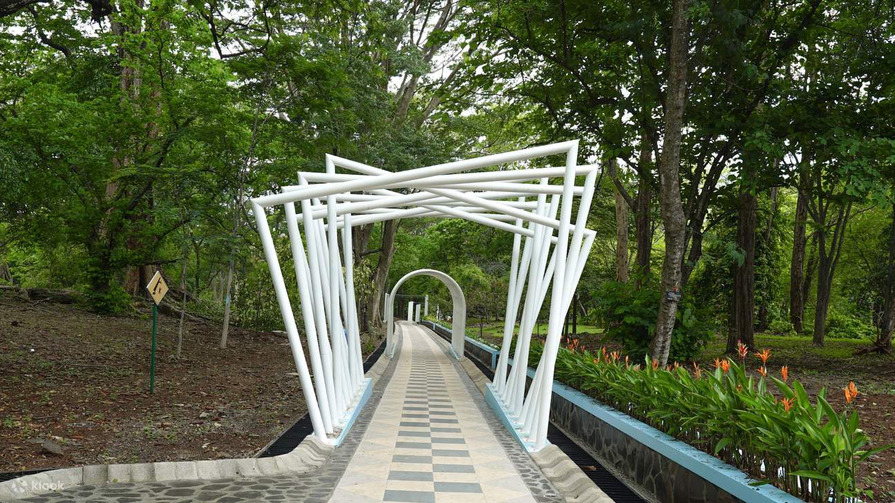 Menjelajahi Keindahan Air Terjun Kebun Raya Purwodadi: Petualangan Menyegarkan di Alam Jawa Timur