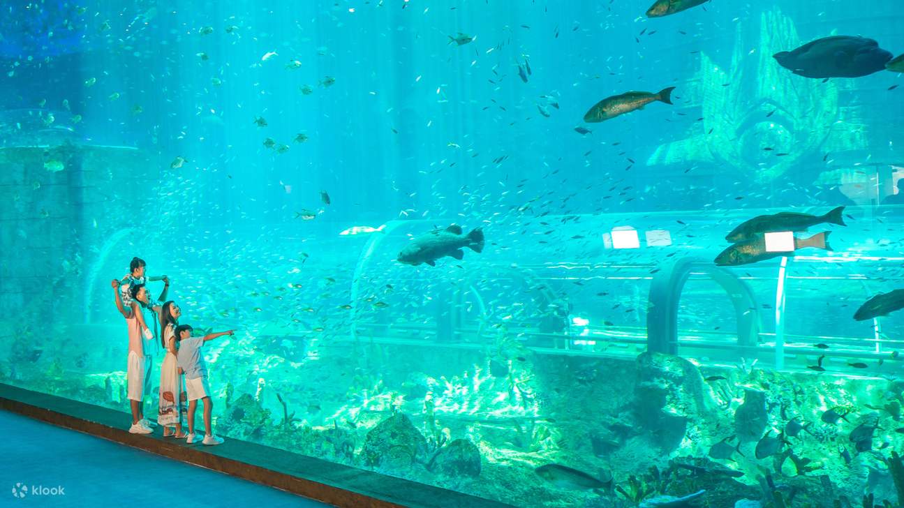 富国岛珍珠游乐园门票