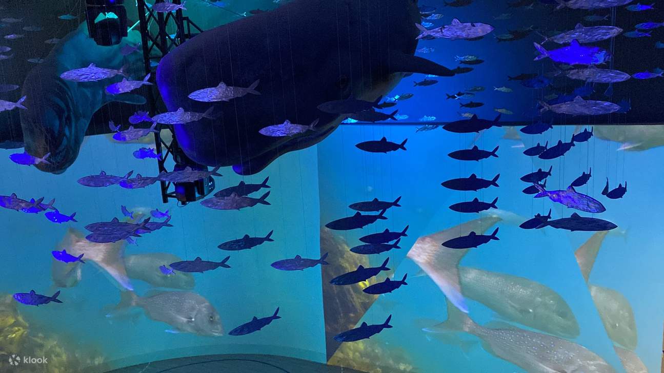 Acuario Inteligente Oceánico de Chaojing