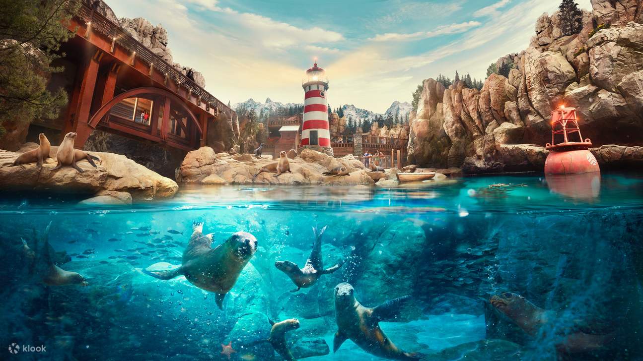 Tiket Masuk SeaWorld di Abu Dhabi