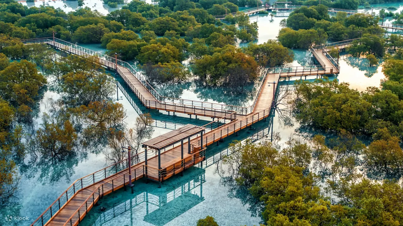 朱拜勒红树林公园木板路的美景，周围环绕着郁郁葱葱的绿树