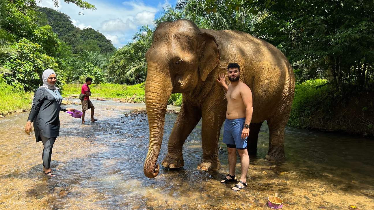 Тур на полдня в Krabi Elephant Care House