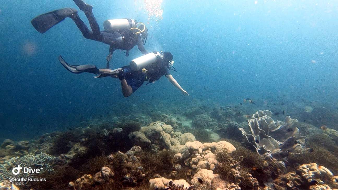 Discover Scuba Diving (Boat Dive) in Batangas Klook Malaysia