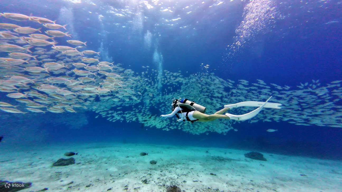 Perjalanan Sehari Menyelam Scuba di Phuket ke Pulau Racha Yai & Racha Noi